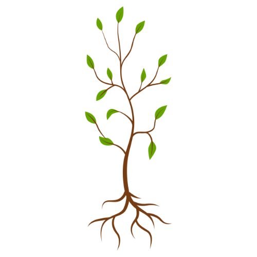 Sapling