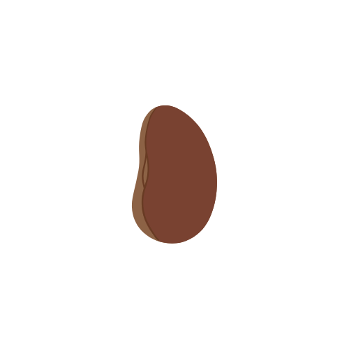 Seed
