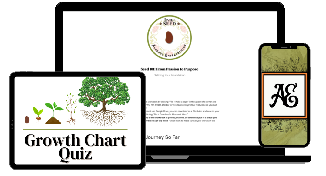 Seed Course Mockup